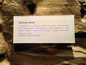 The Ice Ages Gallery: Ground Sloth sign