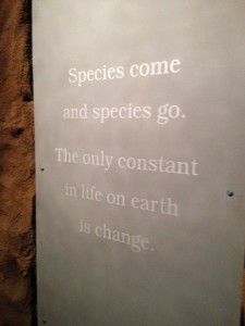 Final words to the Ice Ages Gallery, and to the Royal Tyrrell Museum galleries, by M. Keiran