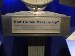 The Ice Ages Gallery: How Do You Measure Up?