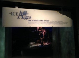 The Ice Ages Gallery