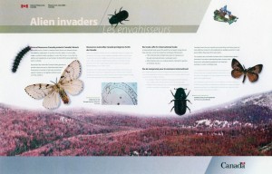 Alien Invaders exhibit - backdrop panel #3 (exhibit area 2)