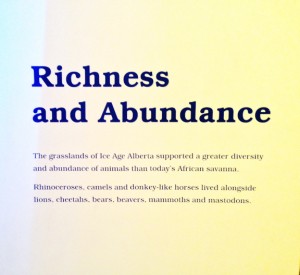 The New Ice Ages: Richness and Abundance sign