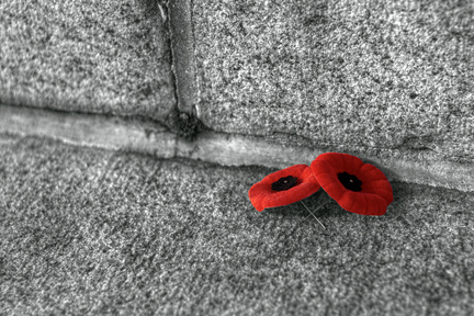 http://www.timescolonist.com/opinion/columnists/monique-keiran-wearing-a-poppy-is-never-unfashionable-1.2106214